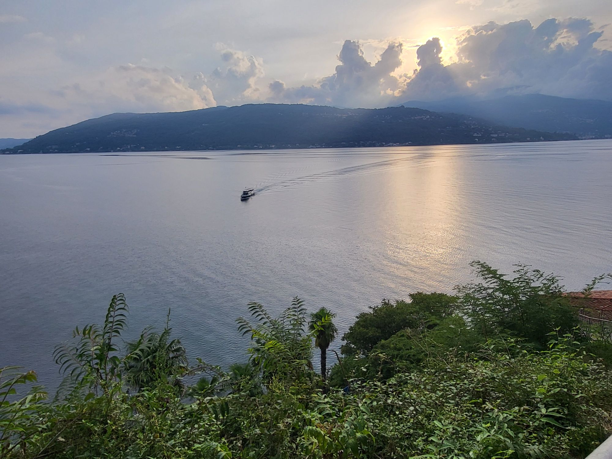 Why Setting Up a UK Charity Is a Smart Move for International Founders – Especially from Italy